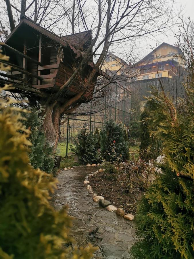 Doftana Apartaments Teşila Exteriér fotografie