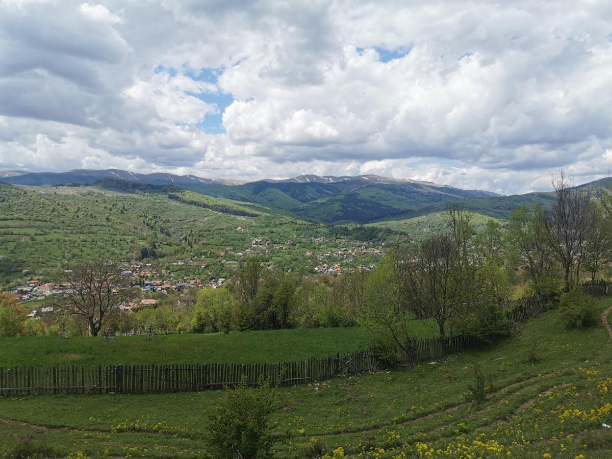 Doftana Apartaments Teşila Exteriér fotografie