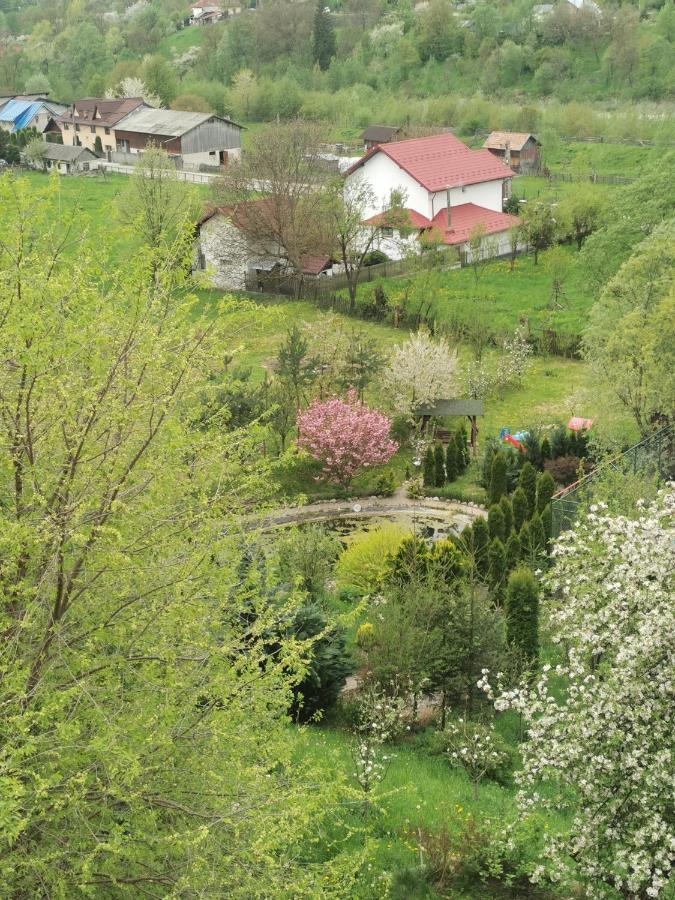 Doftana Apartaments Teşila Exteriér fotografie