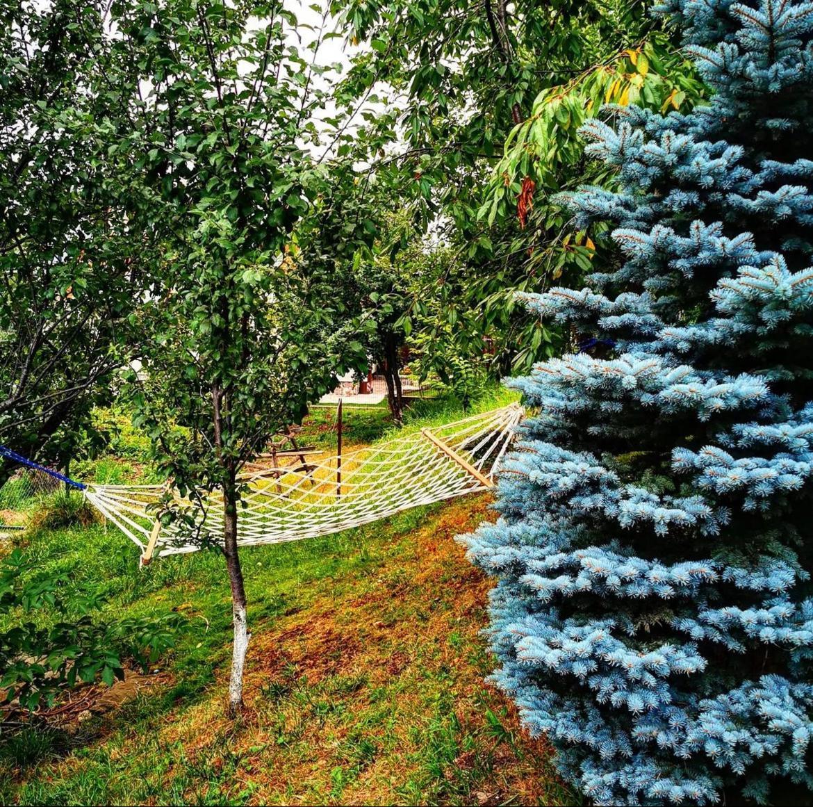Doftana Apartaments Teşila Exteriér fotografie