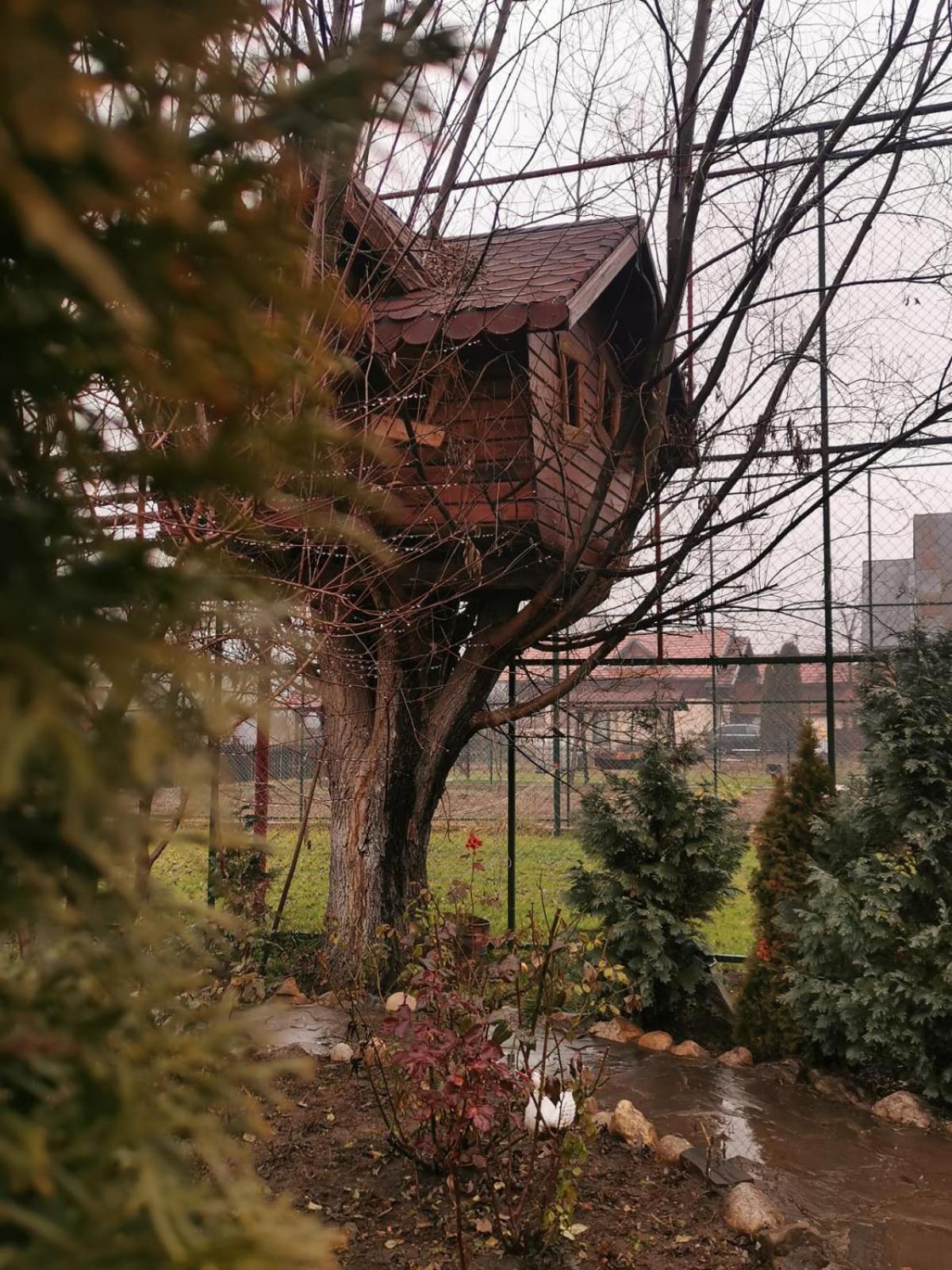 Doftana Apartaments Teşila Pokoj fotografie