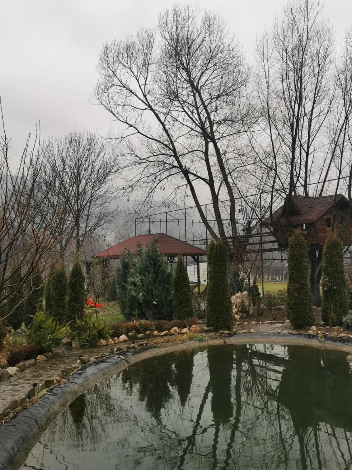 Doftana Apartaments Teşila Pokoj fotografie